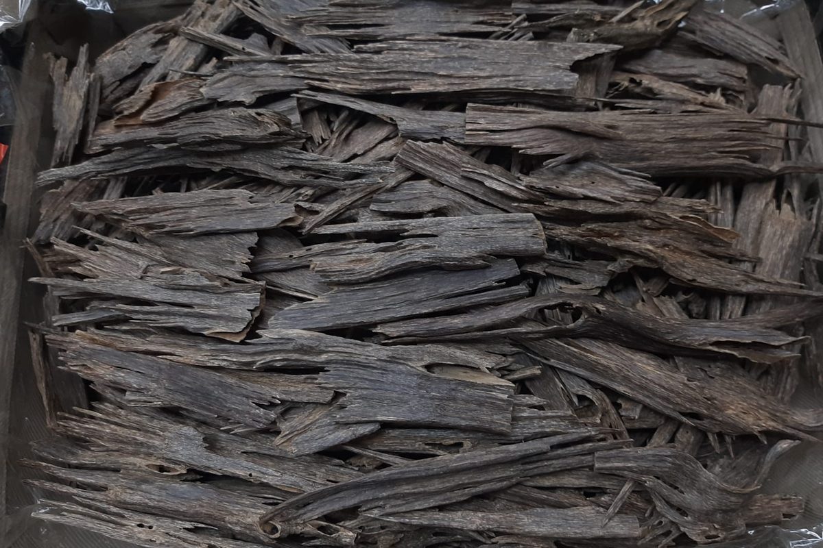 Hand-selected agarwood chips packed for wholesale